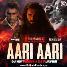 Aari Aari (Club Remix) - DJ NOTORIOUS × DJ PURVISH