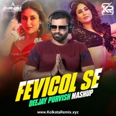 Fevicol Se (Mashup) - DJ Purvish