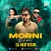 Morni (Remix) - Dj Akki Haran