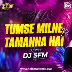 Tumse Milne Ki Tamanna Hai (Remix) - Dj SFM